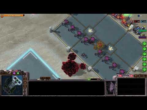80% Cooldown Swarm Hosts, Starcraft 2 Direct Strike