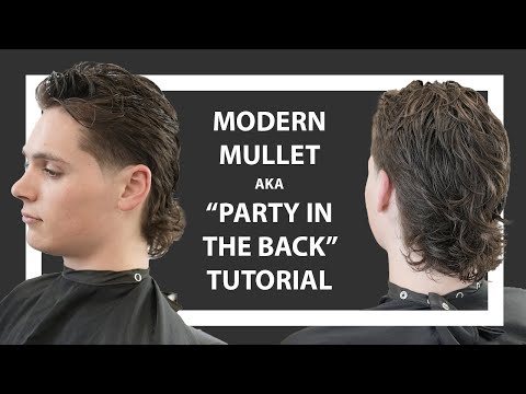 Modern Mullet / Party in the Back Haircut Tutorial by...