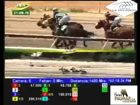 LA RINCONADA 6 CARRERA, DOMINGO 21 DE AGOSTO DEL 2016