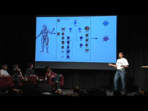 Immunology. Do two negatives make a positive? - Vinay Rambal - Science Slam