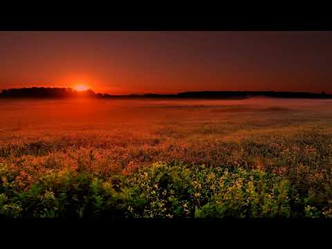 *FREE* Mayot & Feduk & G4OUR type beat