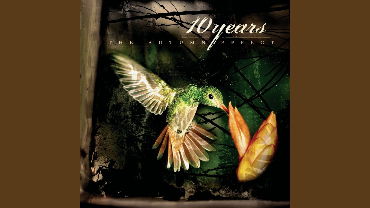 10 Years - Insects