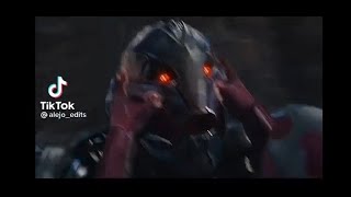 ヴィジョンが見たウルトロンの頭の中ｗｗｗ[爆笑TikTok]