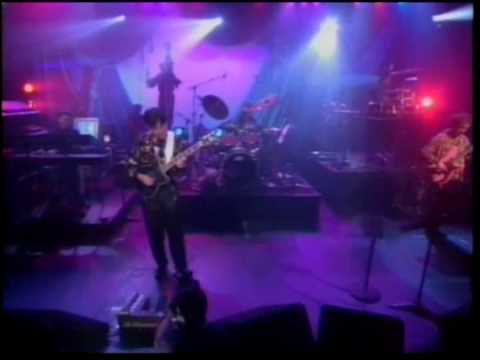 高中正義 COVERS Live at the Complex - Woodchopper's Ball