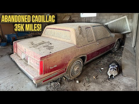 Cadillac Coupe DeVille ABANDONED With 35k Original Miles! First Wash in 21 Years!