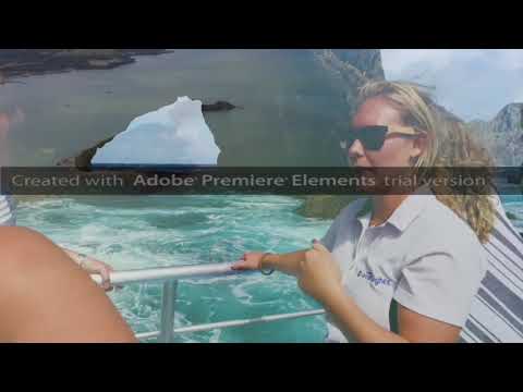 Things to do in Paihia