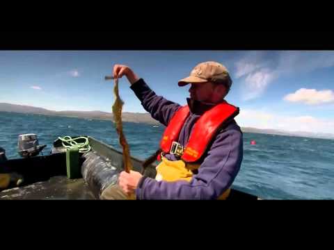 Horizon 2020, striving for the right balance in our marine environment