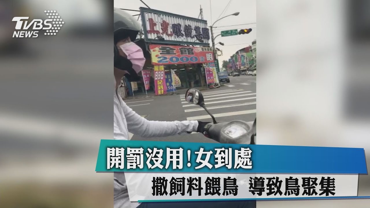 開罰沒用!女到處撒飼料餵鳥 導致鳥聚集