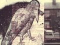 NIGHTINGALES --- Cakehole (1983)