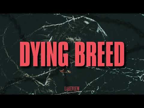 Lakeview - Dying Breed (Visualizer)