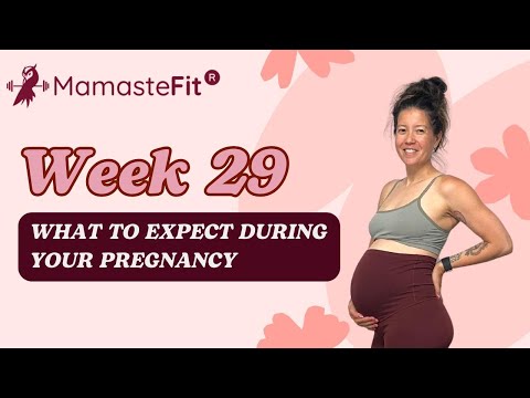Week 29: What to Expect During Your Pregnancy + Gina's Pregnancy Journey!