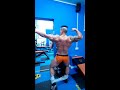 Arnold Schwarzenegger style of posing