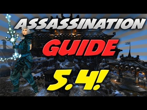 Assassination 5.4 Rogue Guide