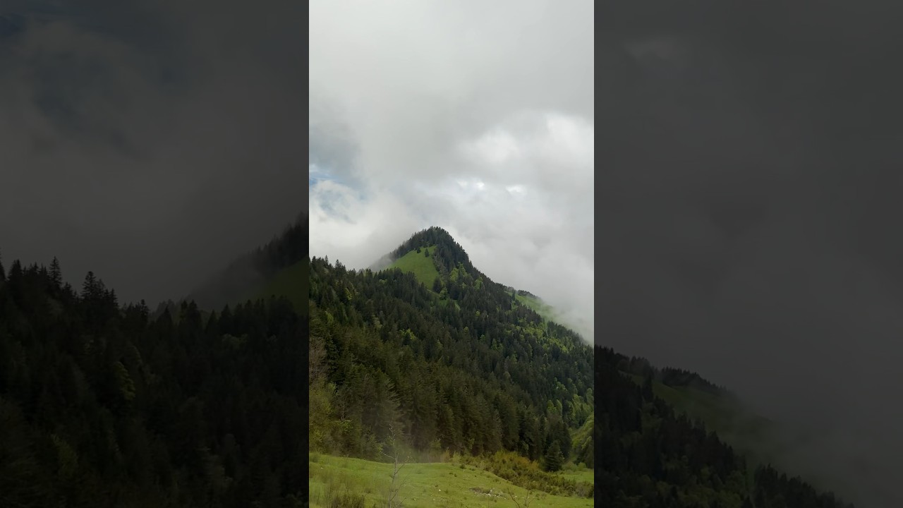 YouTube Short thumbnail