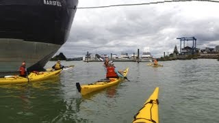 preview picture of video 'Tamaki River Paddle - Auckland kayak trip from Paddler.co.nz'