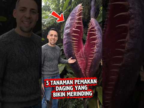 3 TANAMAN PEMAKAN DAGING YANG BIKIN MERINDING ❗#shorts #shortvideo