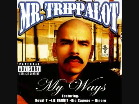 Mr.Trippalot-My Ways