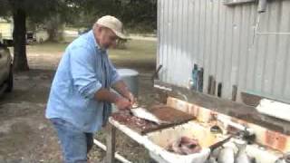 Professor William Massey - How to quickly clean a Mullet