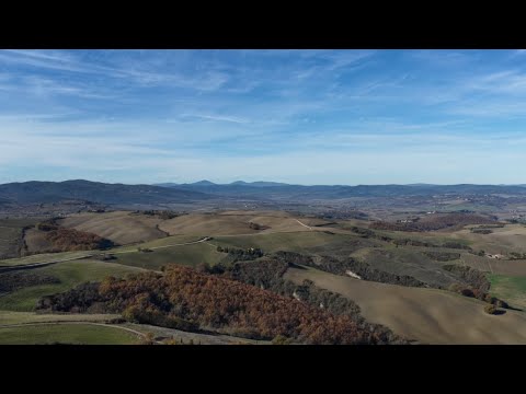 Qui Motori- 4 dicembre 2025