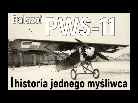PWS-11 | the story of one fighter