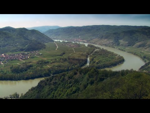 Life+ Auenwildnis Wachau (English Subtitles)