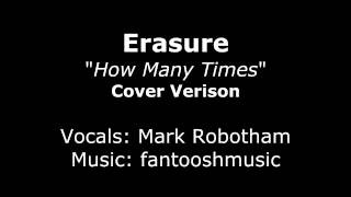 Erasure - How Many Times - Cover Version