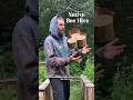Building a native bee hive 🐝 #dirtbag #garden #build #beehive