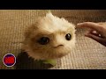 An Alien Dog CJ7 2008 Now Scaring