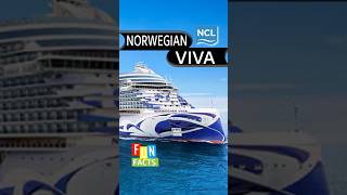 I Wish I Knew This Before I Cruised on Norwegian Viva. #holiday #cruise #travel