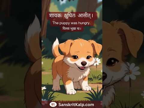 New friend | नूतनः मित्रः (नया मित्र) Sanskrit Story - 94 | Sanskrit Kalp