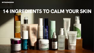 14 Ingredients to Calm your Skin