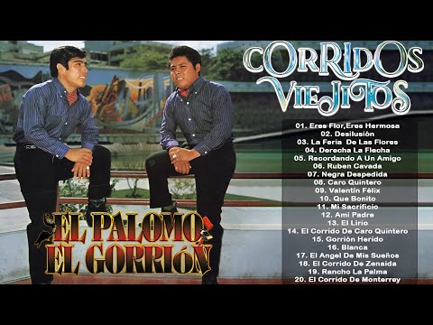 El Palomo y El Gorrion Nuestros Primeros 20 Éxitos 🐦🕊 Corridos y Rancheras Perronas