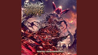 Download lagu The Road Of Freedom mp3