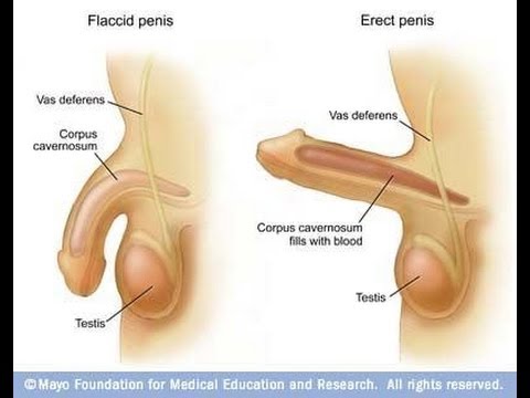 how can you make your penis bigger Nude leonor varela pics