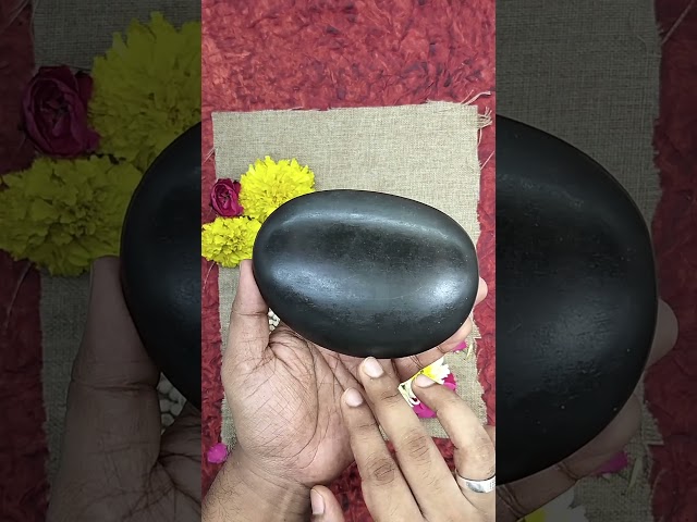 Lord Vishnu Maha Sacred Shaligram Shila stone (For Health and Wealth, Prosperity Brings good luck) video