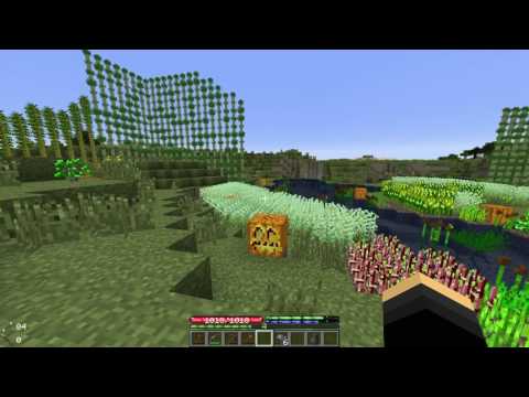 Terrafirmacraft Episode 37