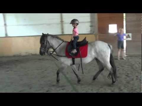 Longestunde Kleinkind (2 Jahre), Longe für Anfänger - www.reitgastein.com