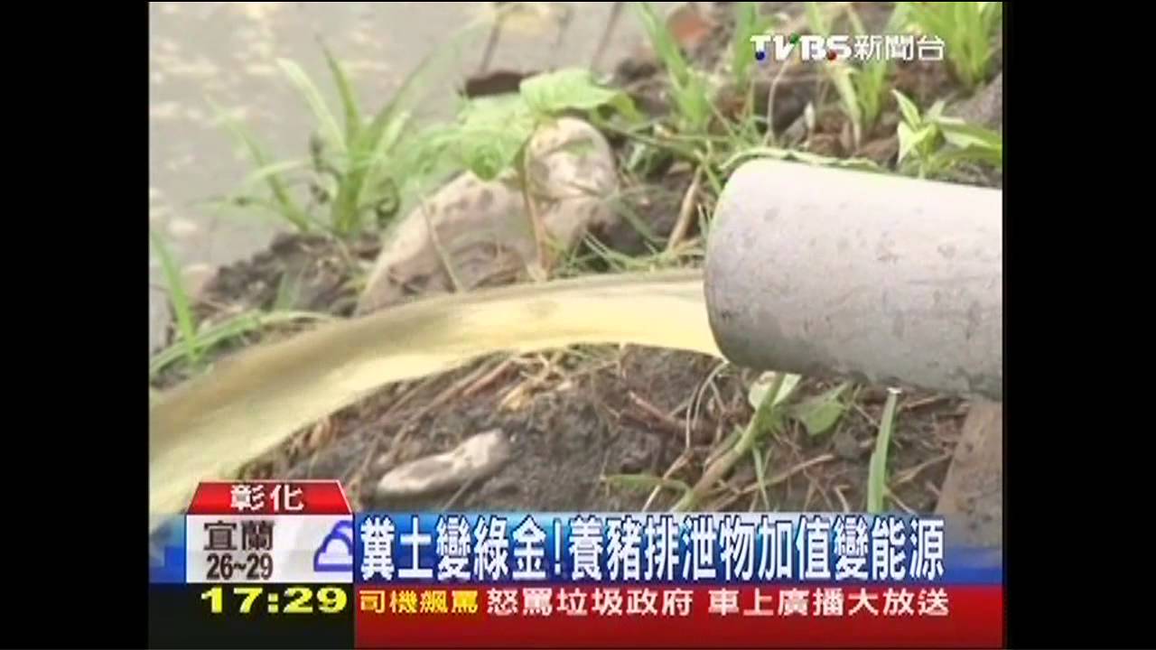 糞土變綠金! 養豬排泄物加值變能源