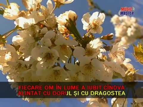 download lagu mp3 mp4 Fonograme Populare, download mp3 Fonograme Populare free downloadn, video klip Fonograme Populare