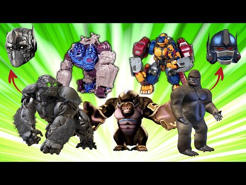 Optimus Primal's Evolution (Transformers ROTB / Beast Wars)