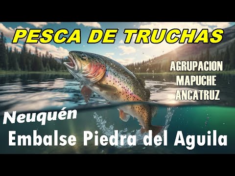 Pesca de Truchas en embalse Piedra del Aguila 