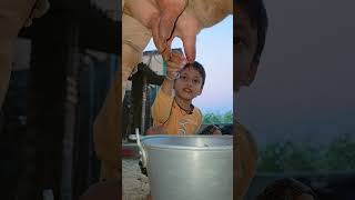 Download lagu choti choti gaiya fejhu jg #love #song #cow mp3 Download lagu choti choti gaiya fejhu jg #love #song #cow mp3