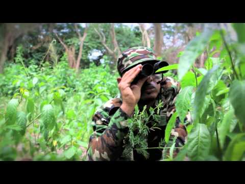 DJ Nicholas - When Mi Tek A Pree (Official Video)