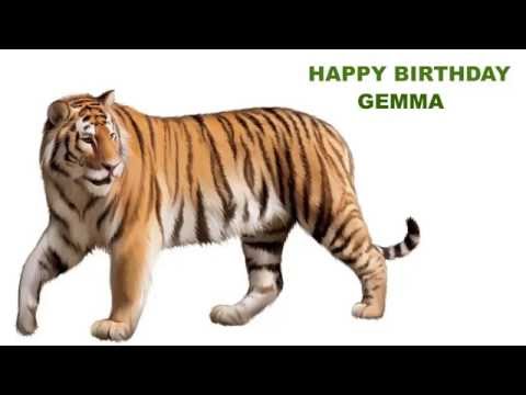 Gemma  Animals & Animales - Happy Birthday