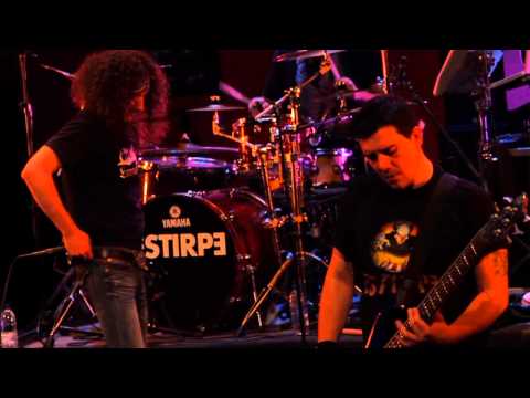 ESTIRPE "Seguir En Pie" - DVD "El tiempo, un placer para detener" 2012