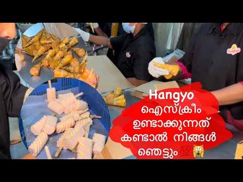 ഇങ്ങനെയാണ് Hangyo ഐസ്ക്രിം ഉണ്ടാക്കുന്നത് / icecream tour to Hangyo factory 🙀😋😋