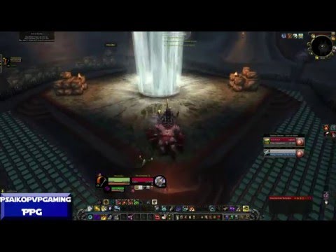 World of Warcraft PvP 2vs2 Low Arena Double Hunter