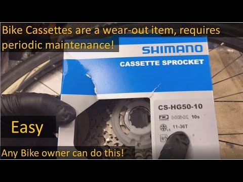 Shimano Rear Cassette CS-HG50-10 Replacement;   Scott Scale 960