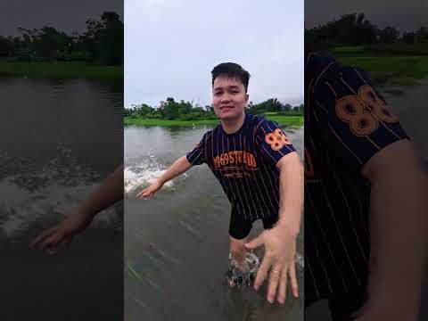 Vũ Điệu Chiếc Xe 🤣 #shorts