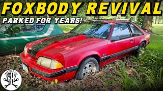 Foxbody Revival! Bringing a 90's Mustang BACK TO LIFE!!